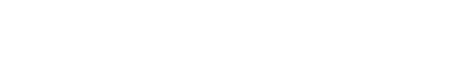 Vision