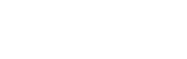 01 CONCEPT