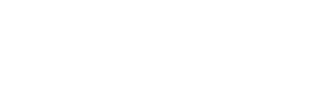 03 SERVICE
