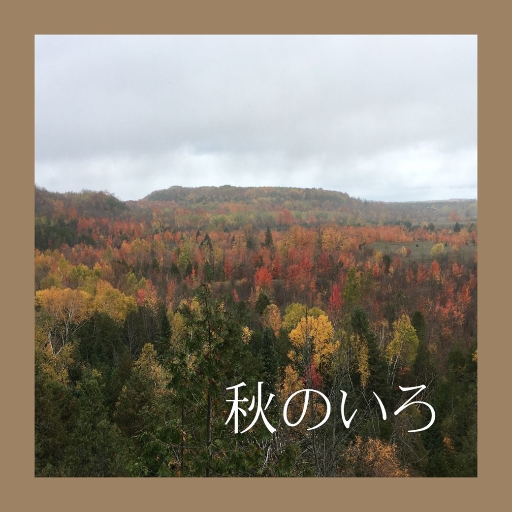 今週のテーマタイトル「秋のいろ」