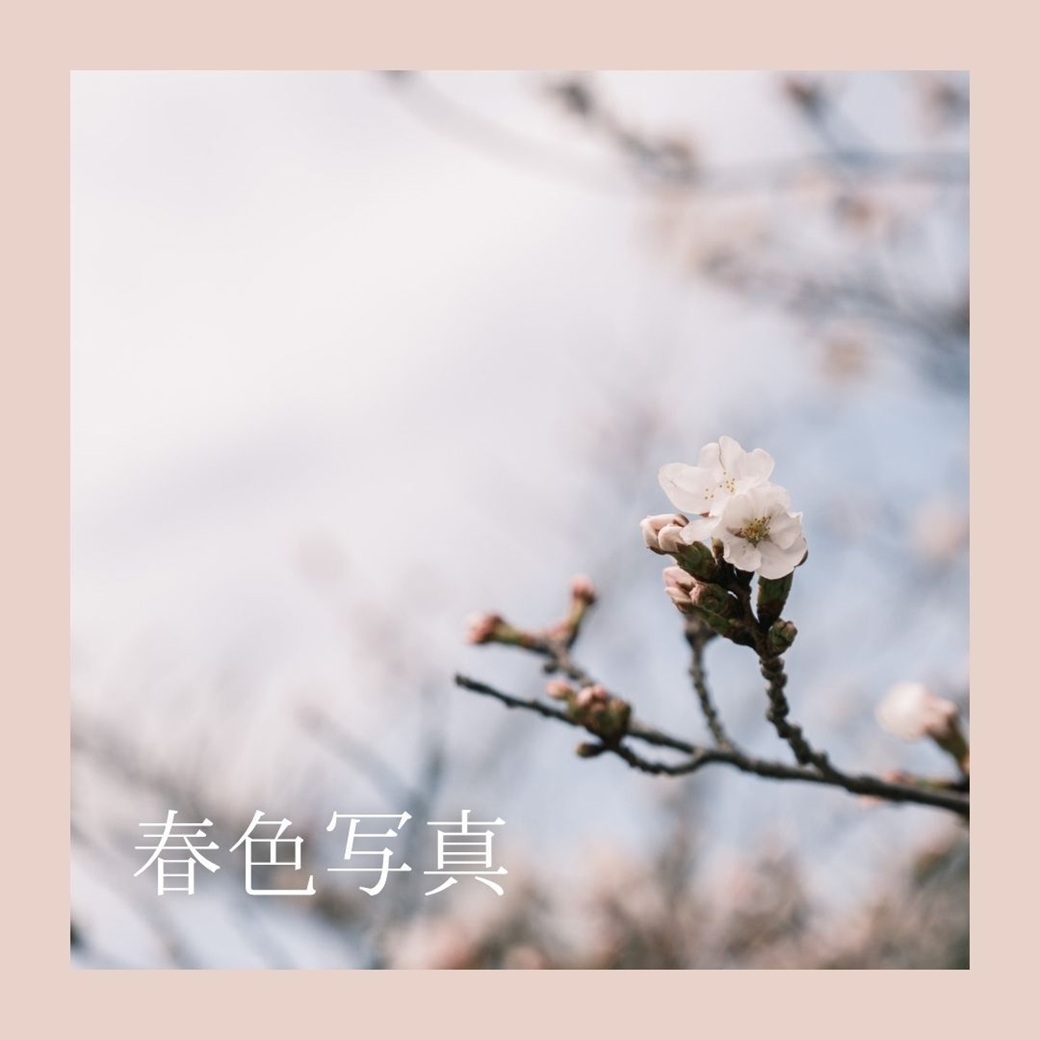 写真のテーマを散歩写真からご提供