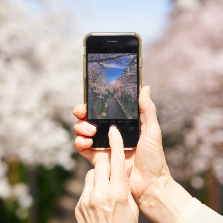 テーマに沿ってスマホで写真撮影