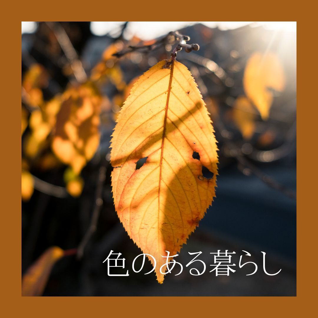 終了したテーマタイトル「色のある暮らし」