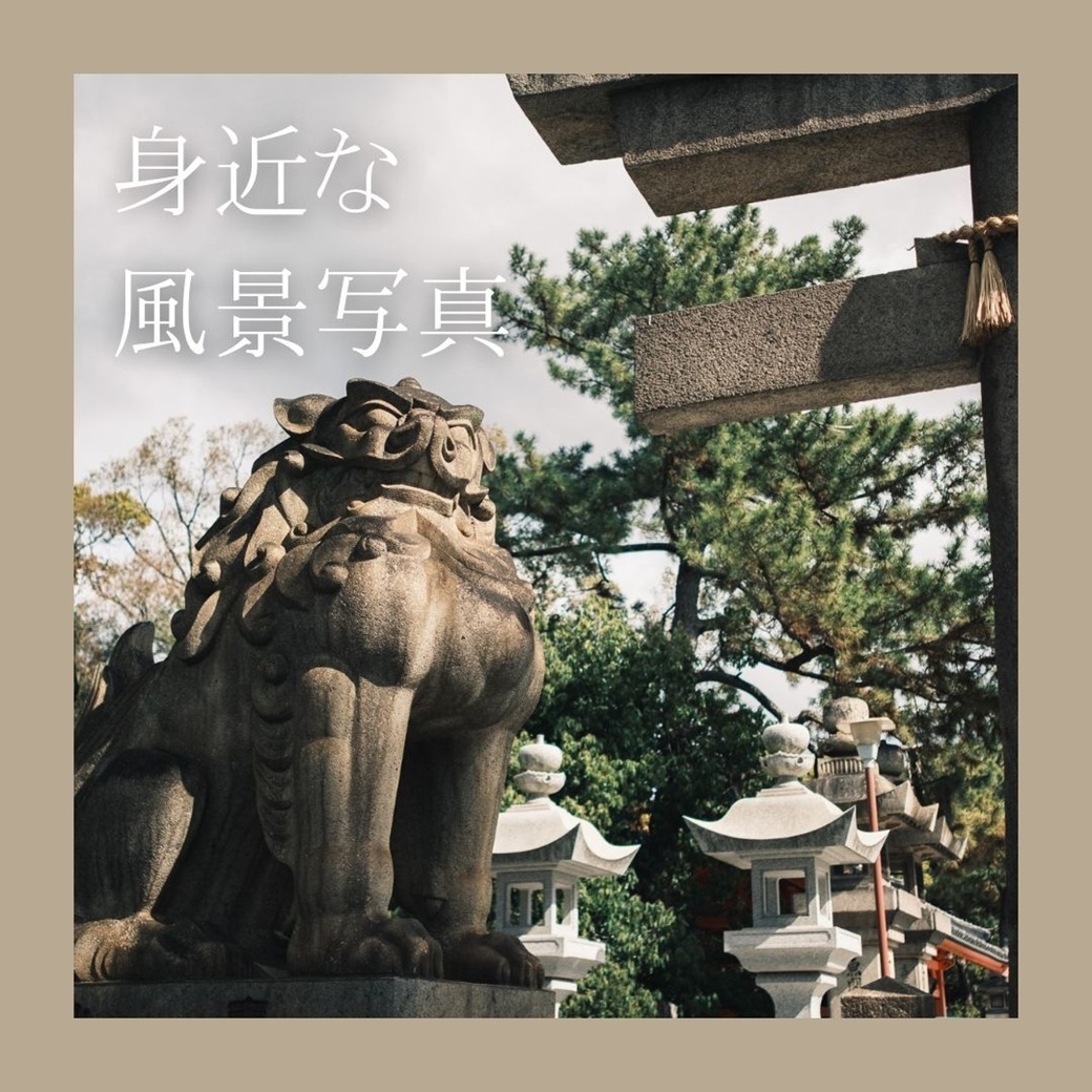 写真のテーマを散歩写真からご提供