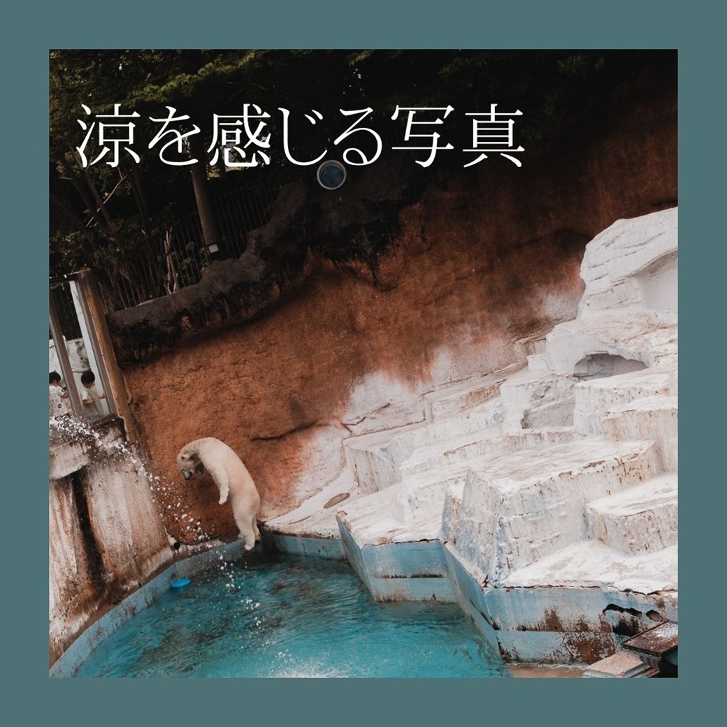 写真のテーマを散歩写真からご提供