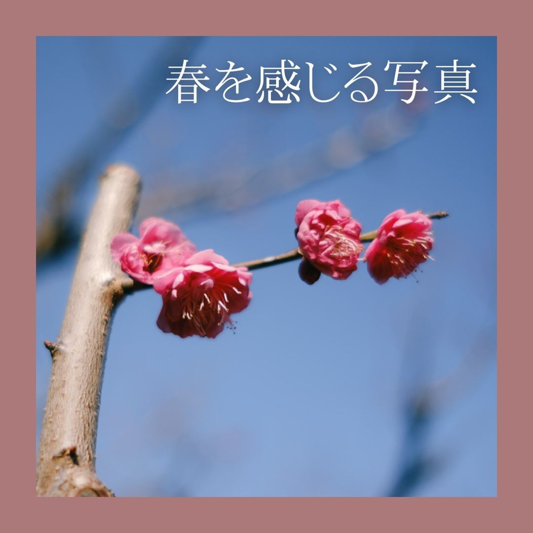終了したテーマタイトル「春を感じる写真」