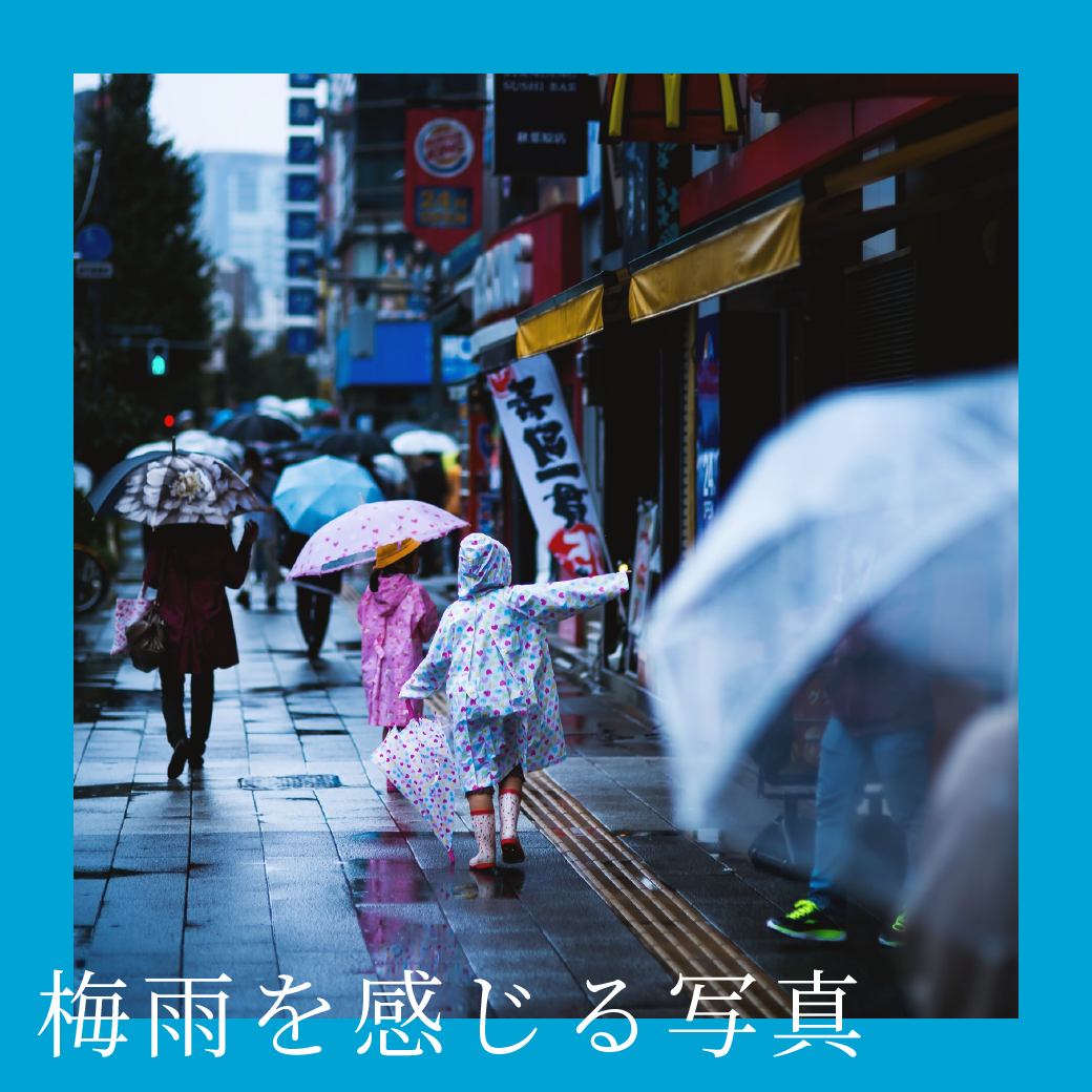 今週のテーマタイトル「梅雨を感じる写真」